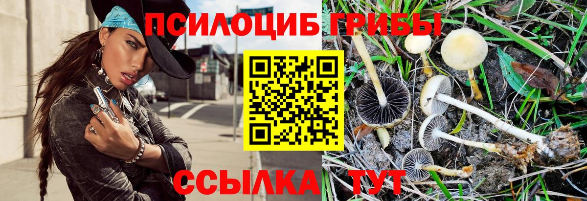 Псилоцибиновые грибы мицелий  Псилоцибиновые грибы Cubensis  Вход с VPN  Вышний Волочёк 