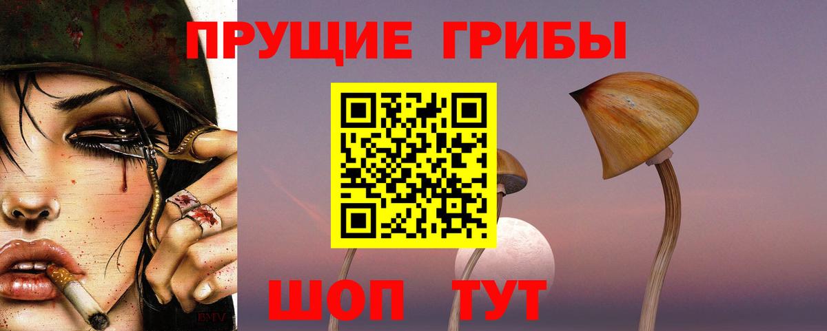 МЕФ Вышний Волочёк